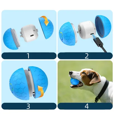 IntiMeg Balle interactive pour animaux de compagnie