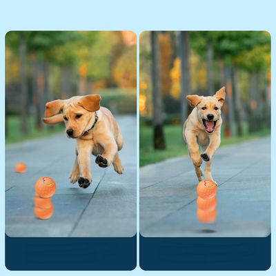 IntiMeg Balle interactive pour animaux de compagnie