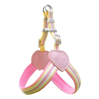 IntiMeg Harnachement de traction pour chien