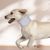 IntiMeg Collier de protection pour chien