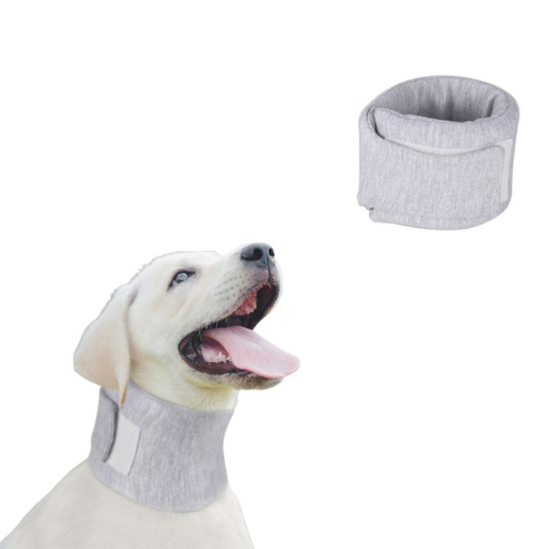 IntiMeg Schutzhalsband für Hunde