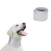 IntiMeg Schutzhalsband für Hunde