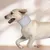 IntiMeg Collier de protection pour chien