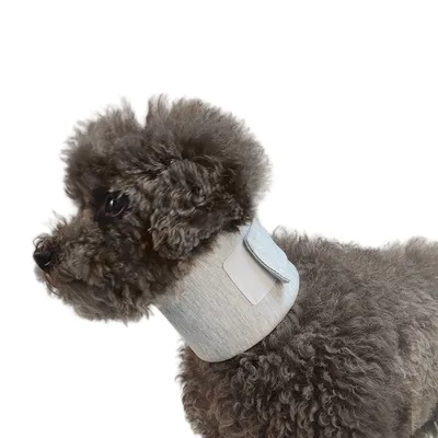 IntiMeg Collier de protection pour chien