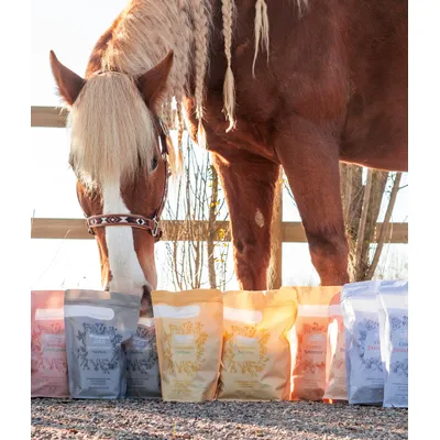 Pelote & Balzane - Friandises naturelles chevaux Pelote & Balzane - Friandises naturelles chevaux