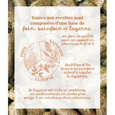 Pelote & Balzane - Friandises naturelles chevaux
