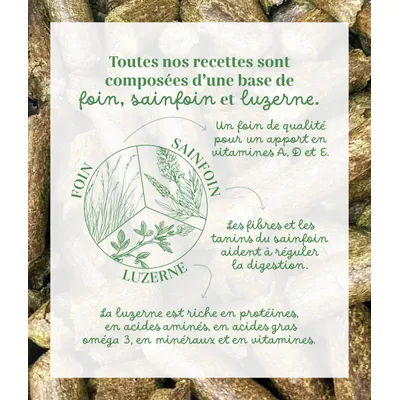 Pelote & Balzane - Friandises naturelles chevaux