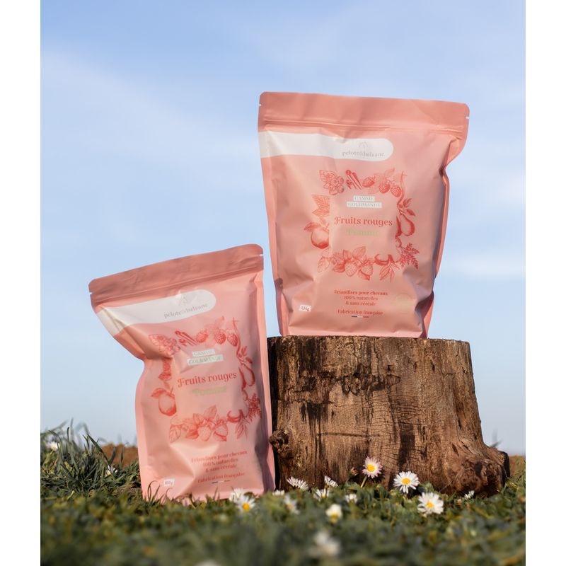 Pelote & Balzane - Friandises naturelles chevaux