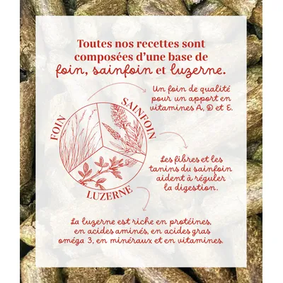 Pelote & Balzane - Friandises naturelles chevaux