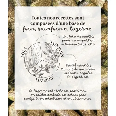 Pelote & Balzane - Friandises naturelles chevaux