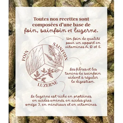 Pelote & Balzane - Friandises naturelles chevaux