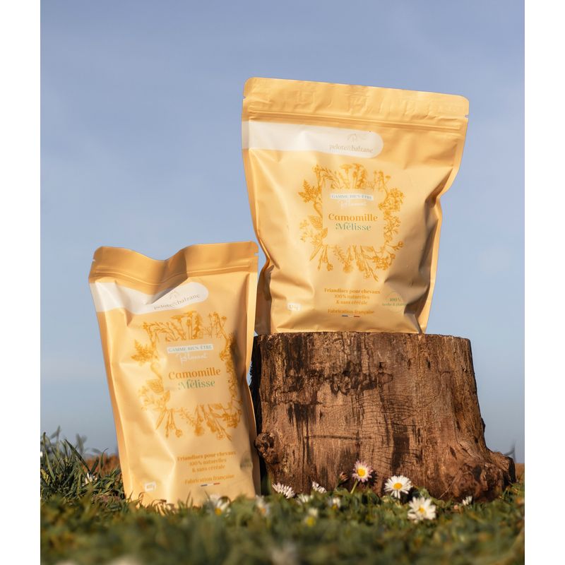 Pelote & Balzane - Friandises naturelles chevaux