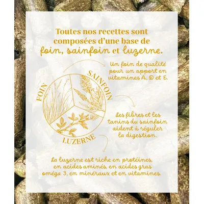 Pelote & Balzane - Friandises naturelles chevaux Pelote & Balzane - Friandises naturelles chevaux