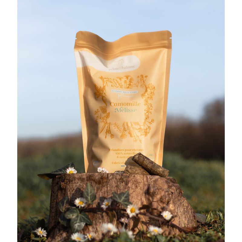 Pelote & Balzane - Friandises naturelles chevaux