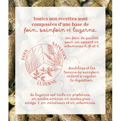 Pelote & Balzane - Friandises naturelles chevaux