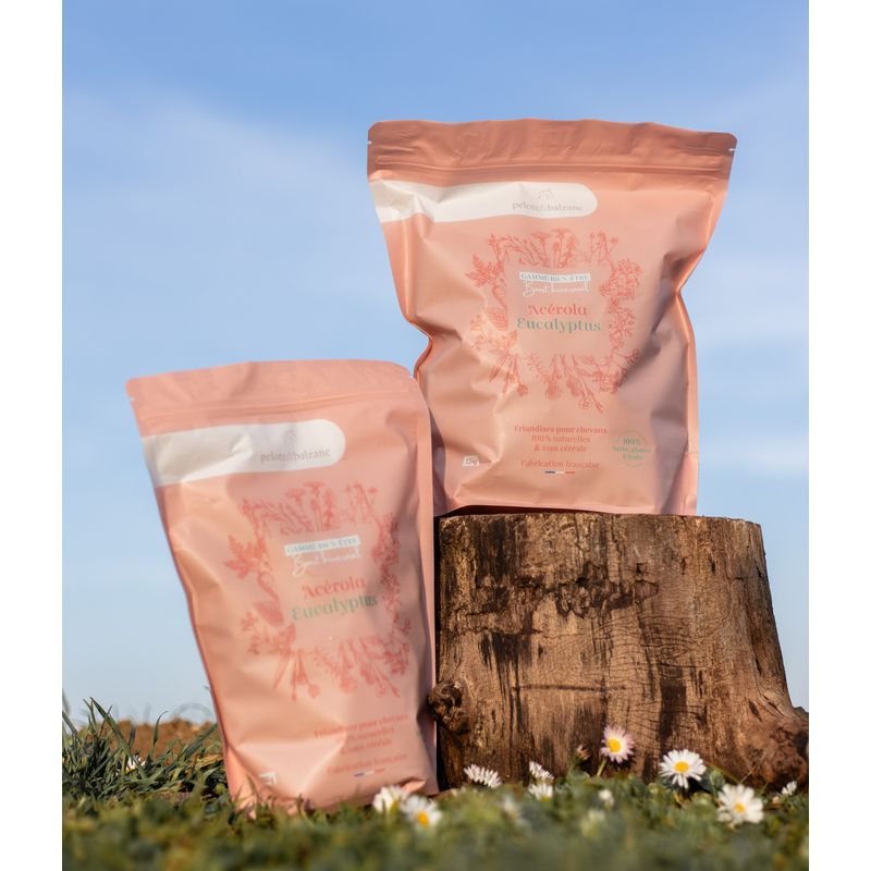 Pelote & Balzane - Friandises naturelles chevaux