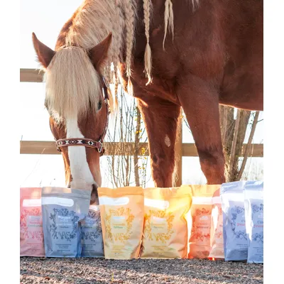 Pelote & Balzane - Friandises naturelles chevaux