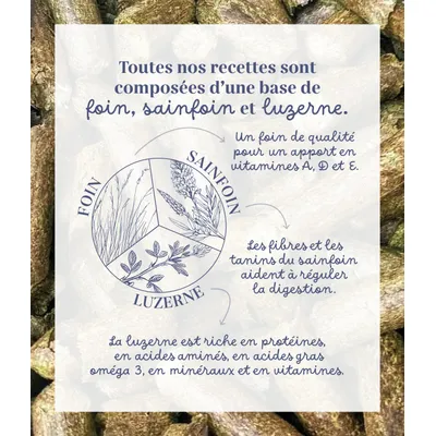 Pelote & Balzane - Friandises naturelles chevaux