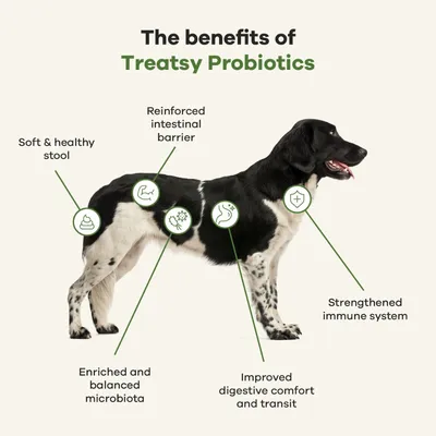 Treatsy Complément Alimentaire - Probiotiques pour chien