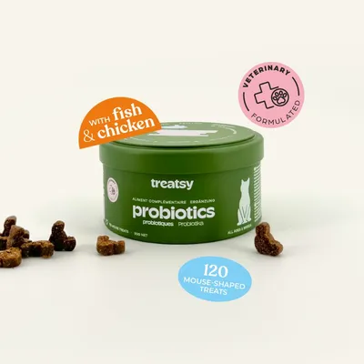 Treatsy Complément Alimentaire - Probiotiques pour chat