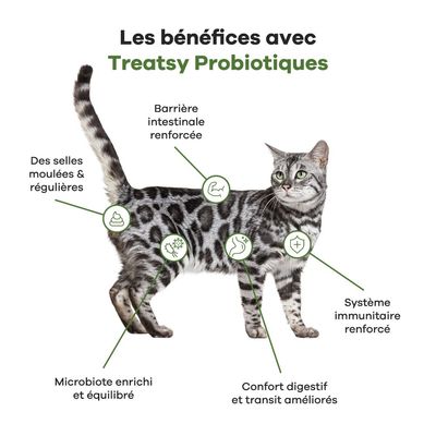 Treatsy Complément Alimentaire - Probiotiques pour chat
