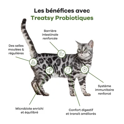 Treatsy Complément Alimentaire - Probiotiques pour chat