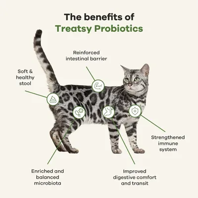 Treatsy Complément Alimentaire - Probiotiques pour chat