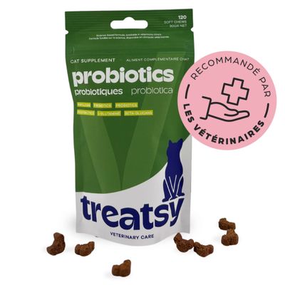 Treatsy Complément Alimentaire - Probiotiques pour chat