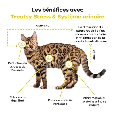 Treatsy Complément Alimentaire - Stress & Système urinaire pour chat