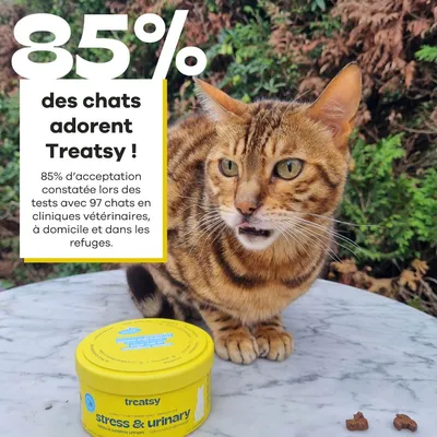 Treatsy Complément Alimentaire - Stress & Système urinaire pour chat