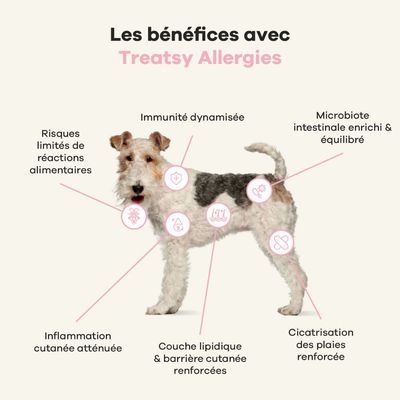 Treatsy Complément Alimentaire - Allergies pour chien
