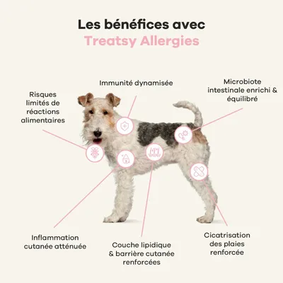 Treatsy Complément Alimentaire - Allergies pour chien