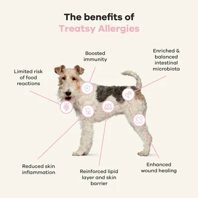 Treatsy Complément Alimentaire - Allergies pour chien