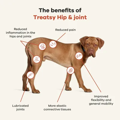 Treatsy Nahrungsergänzungsmittel – Mobilität & Gelenke für Hunde