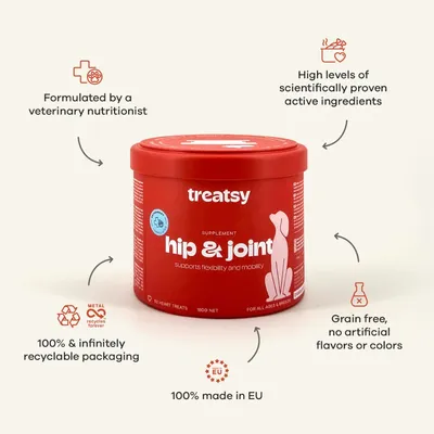 Treatsy Complément Alimentaire - Mobilité Articulations pour chien