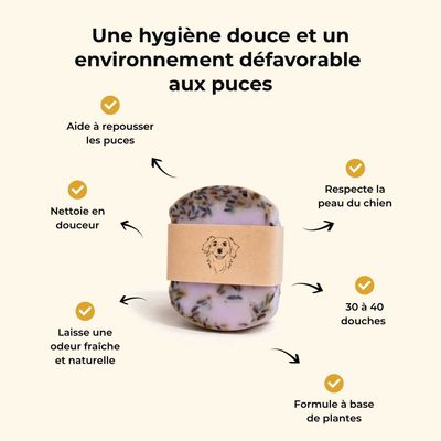 TRUFFE DÉLICE Shampoing anti-puce chien