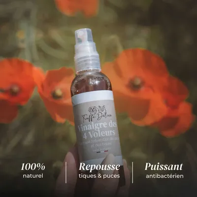 TRUFFE DÉLICE Vinaigre des 4 voleurs - Antiparasitaire chien