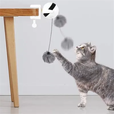 IntiMeg Balle suspendue intéractive pour chat