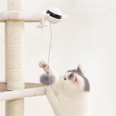 IntiMeg Balle suspendue intéractive pour chat