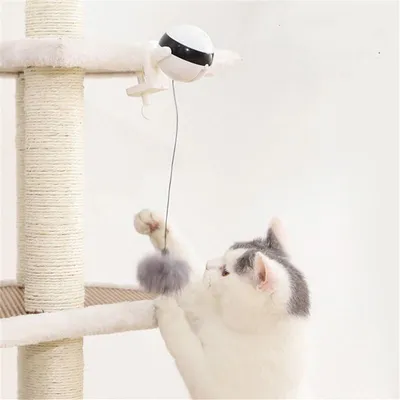 IntiMeg Balle suspendue intéractive pour chat