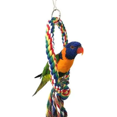 IntiMeg Balançoire pour oiseaux