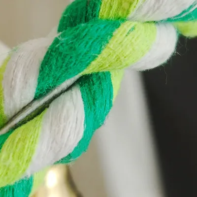 IntiMeg Balançoire pour oiseaux