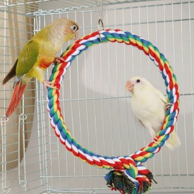 IntiMeg Columpio para pájaros mascota
