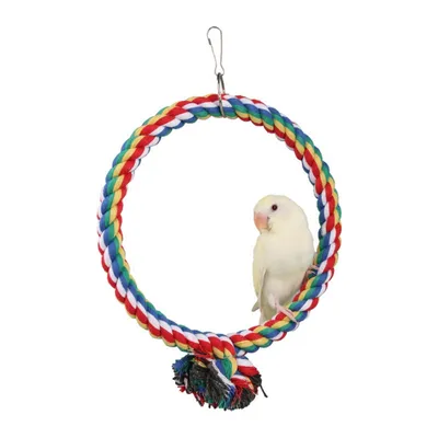 IntiMeg Balançoire pour oiseaux