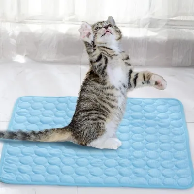 IntiMeg Tapis frais pour chat et chien