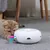 IntiMeg Jouet interactif pour chats