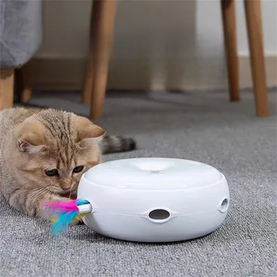 IntiMeg Jouet interactif pour chats