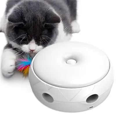 IntiMeg Jouet interactif pour chats