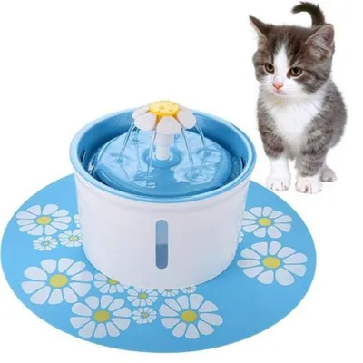 IntiMeg Fontaine à eau pour chats et chiens - 1,6L
