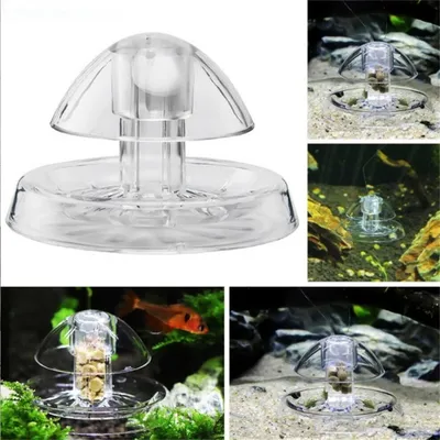 IntiMeg Piège à escargots pour aquarium